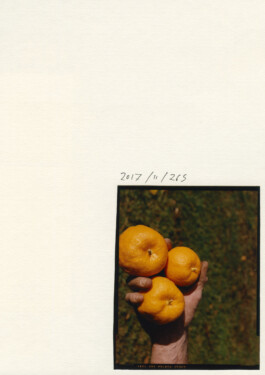 Alexandre Guirkinger