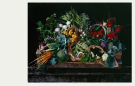 Alexandre Guirkinger