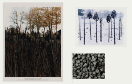 Alexandre Guirkinger