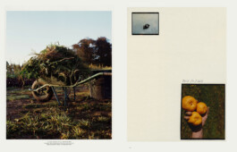 Alexandre Guirkinger