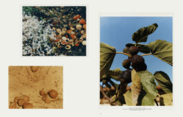 Alexandre Guirkinger