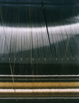 Alexandre Guirkinger