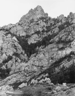 Alexandre Guirkinger