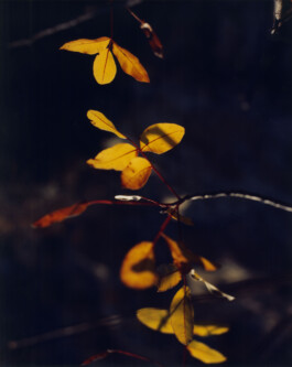 Alexandre Guirkinger