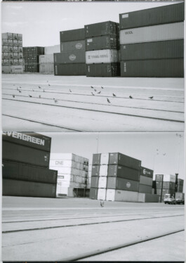 Alexandre Guirkinger