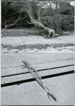 Alexandre Guirkinger