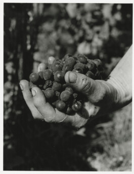 Alexandre Guirkinger