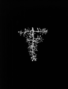 Alexandre Guirkinger