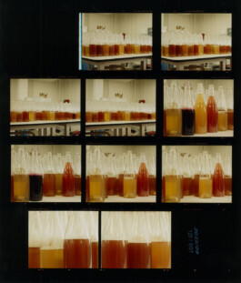 Alexandre Guirkinger