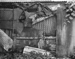 Alexandre Guirkinger