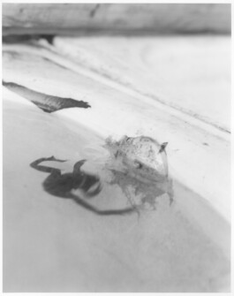 Alexandre Guirkinger