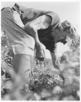 Alexandre Guirkinger