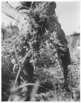 Alexandre Guirkinger