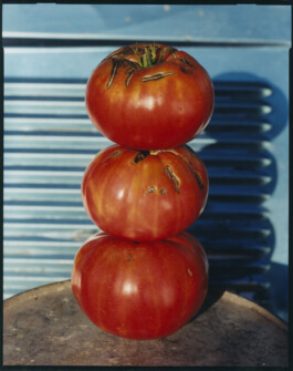 Alexandre Guirkinger