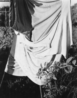 Alexandre Guirkinger