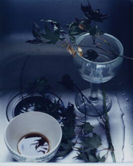 Alexandre Guirkinger