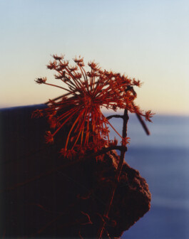 Alexandre Guirkinger