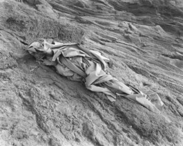 Alexandre Guirkinger