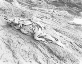 Alexandre Guirkinger