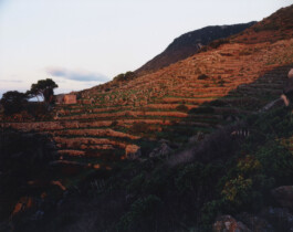 Alexandre Guirkinger