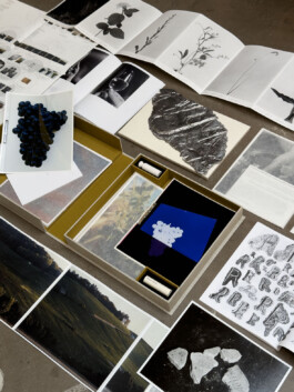 Alexandre Guirkinger