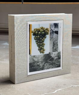 Alexandre Guirkinger