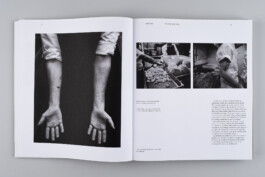 Alexandre Guirkinger