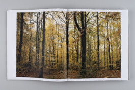 Alexandre Guirkinger