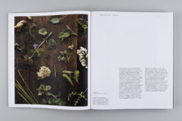 Alexandre Guirkinger