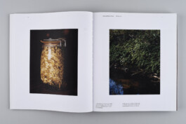 Alexandre Guirkinger