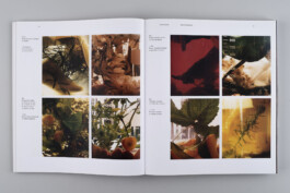 Alexandre Guirkinger