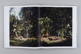 Alexandre Guirkinger