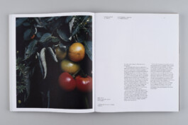 Alexandre Guirkinger