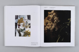 Alexandre Guirkinger