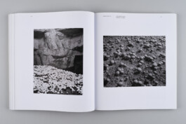 Alexandre Guirkinger