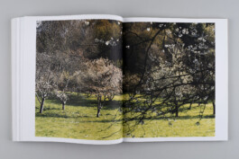 Alexandre Guirkinger