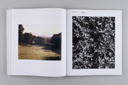 Alexandre Guirkinger