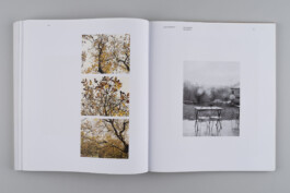 Alexandre Guirkinger