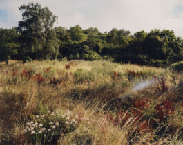 Alexandre Guirkinger