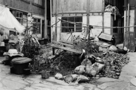 Alexandre Guirkinger