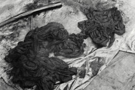 Alexandre Guirkinger