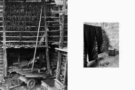 Alexandre Guirkinger