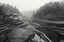 Alexandre Guirkinger