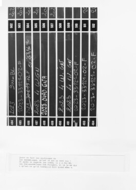 Alexandre Guirkinger