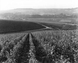 Alexandre Guirkinger