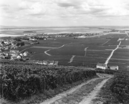 Alexandre Guirkinger