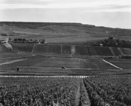 Alexandre Guirkinger