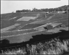 Alexandre Guirkinger