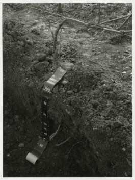 Alexandre Guirkinger