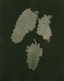 Alexandre Guirkinger